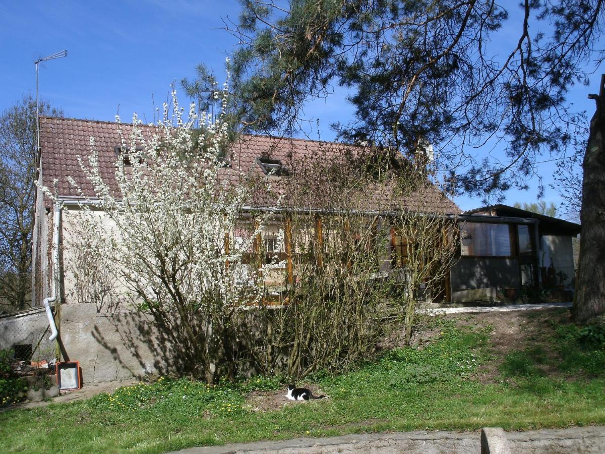 Chambres D'Hotes Du Moulin Saint-Julien-sur-Cher Экстерьер фото